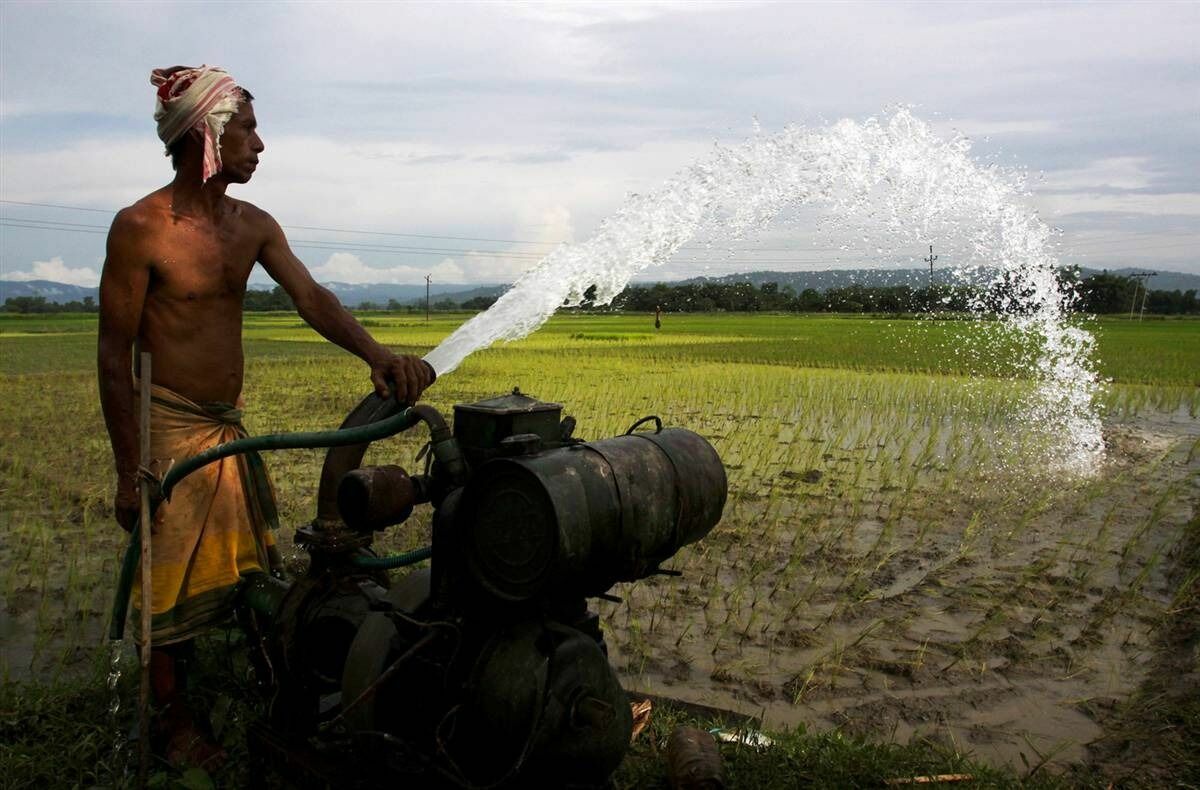 В Индии на рис воды не жалеют