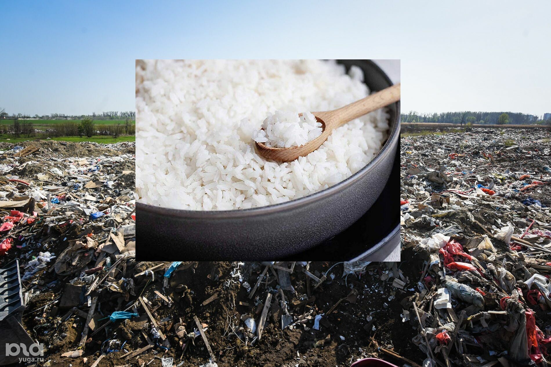 Children's porridge with arsenic and mercury: what does the landfill in the Kuban bring to the country