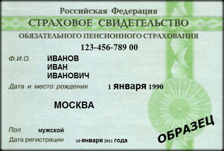 A tryout by a battle: how to receive the SNILS to obtain 10 thousand rubles per child