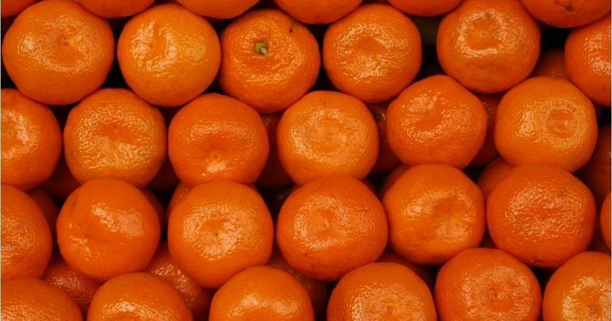 Rospotrebnadzor to suspend the import of Turkish mandarins