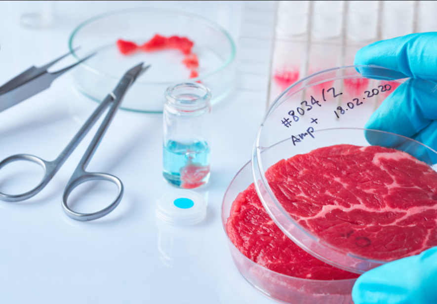 The largest bioreactors for growing cultured meat will be built in the USA