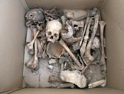 Human bones were folded into a TV box. 