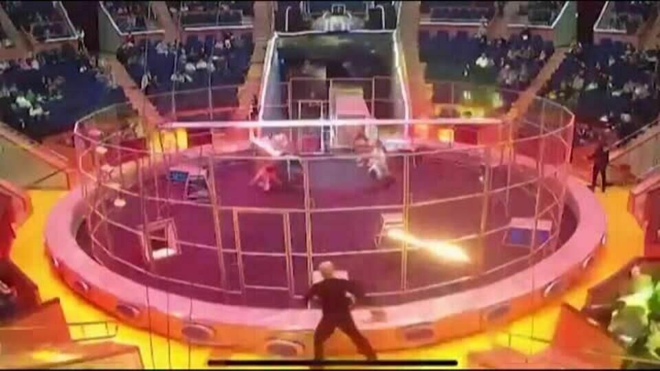 A lion attacked a trainer in the Sochi circus