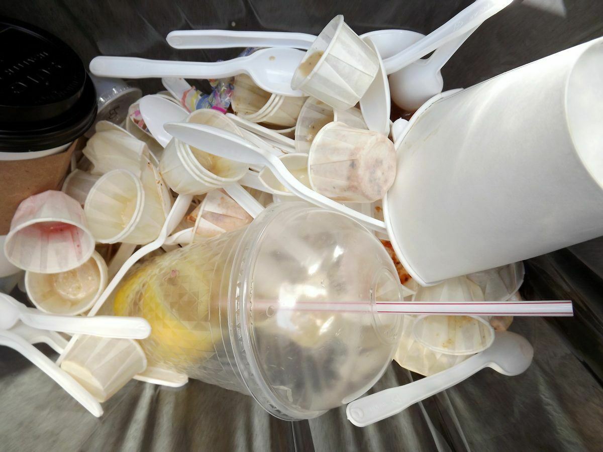 Most consumers are willing to stop using plastic dishes