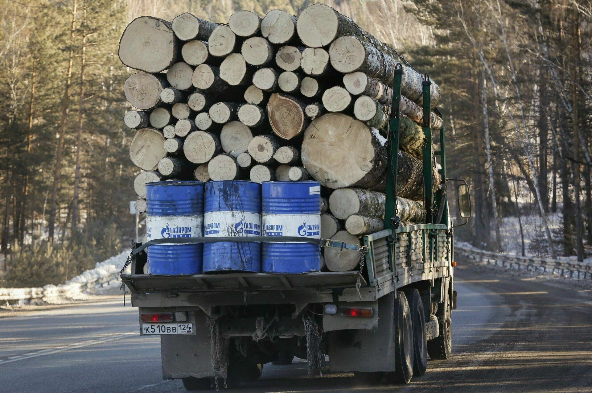 Firewood and coal instead of blue fuel. Gazprom is in no hurry to gasify Russia