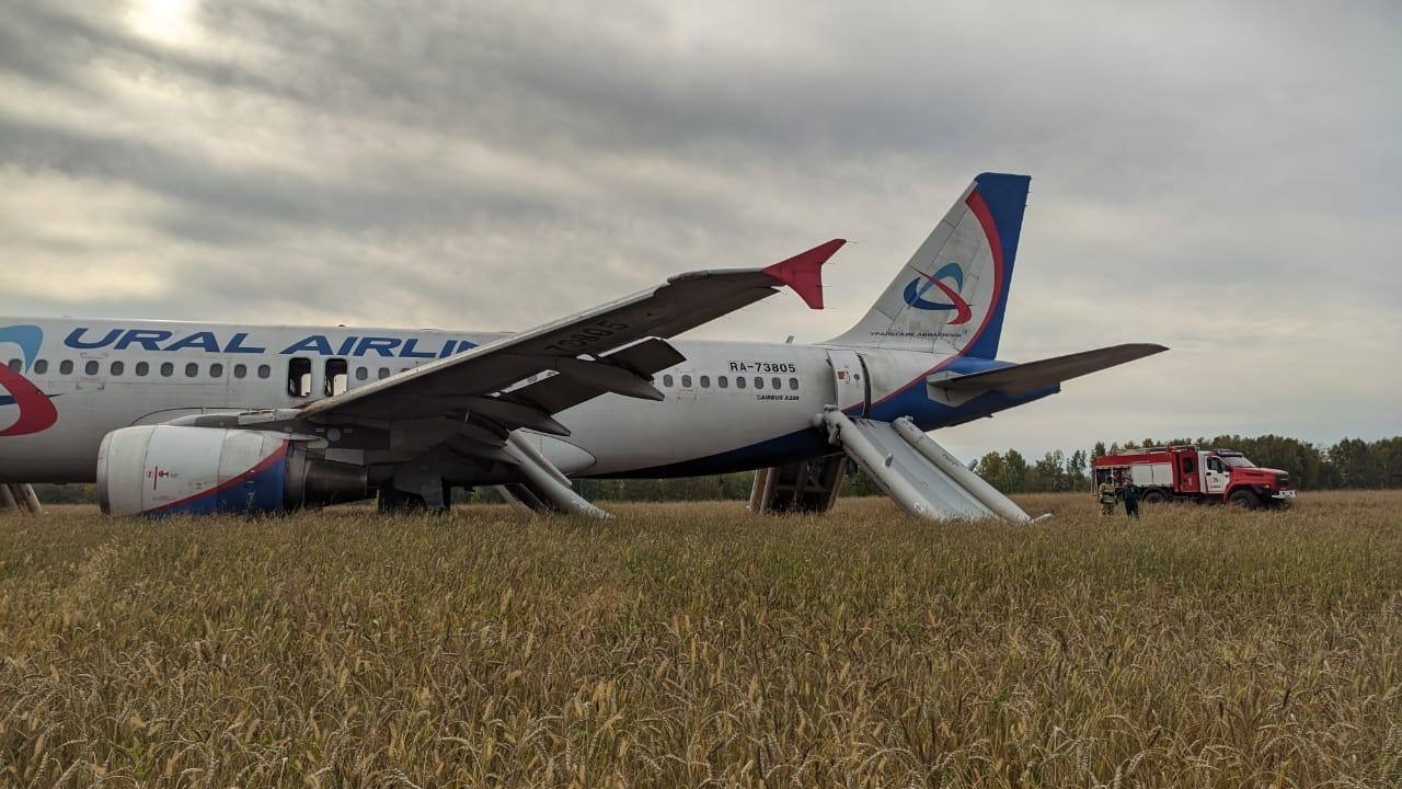 Some were crying, others were joking: how did the passengers of the plane that landed in the field feel themselves
