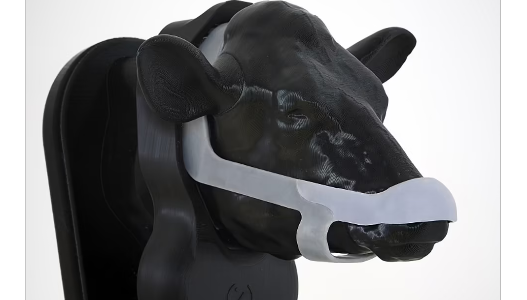 Prince Charles Presents Innovative Design Award to mask for cows Creators