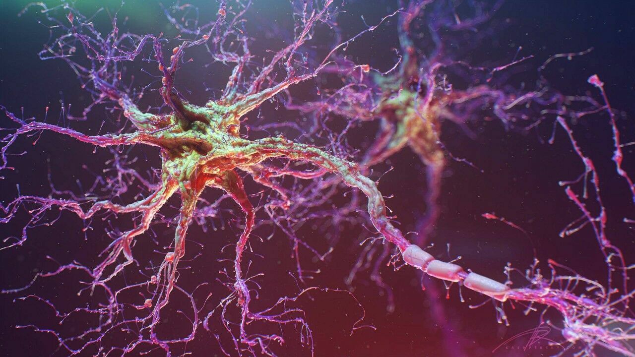 Russian neuroscientists have learned how to restore nerve cells