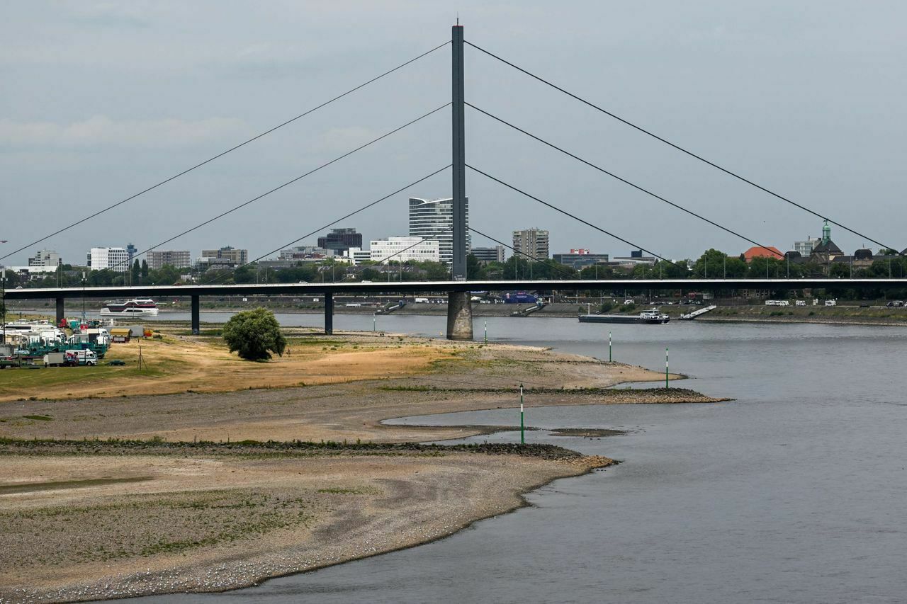 Shallowing as a "bonus": Europe suffers losses due to low water levels in the Rhine