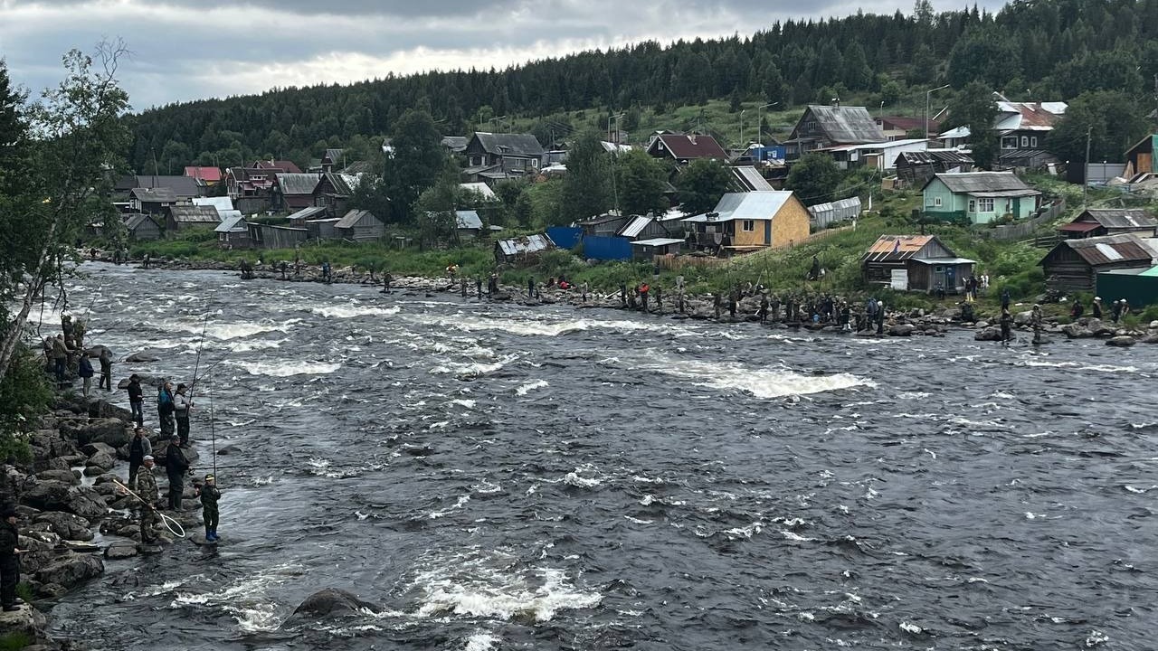 By the river and without fish: pink salmon did not come to spawn in the Murmansk region. Fishermen are in a panic