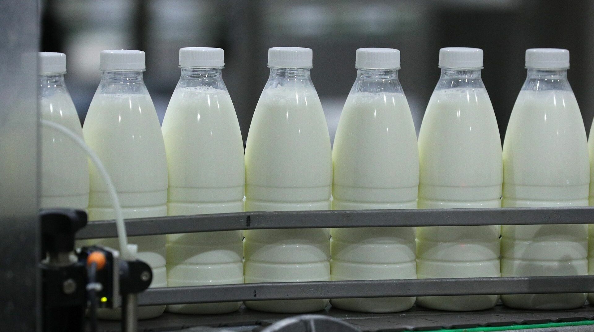 Milk producers warn of price increases in the fall