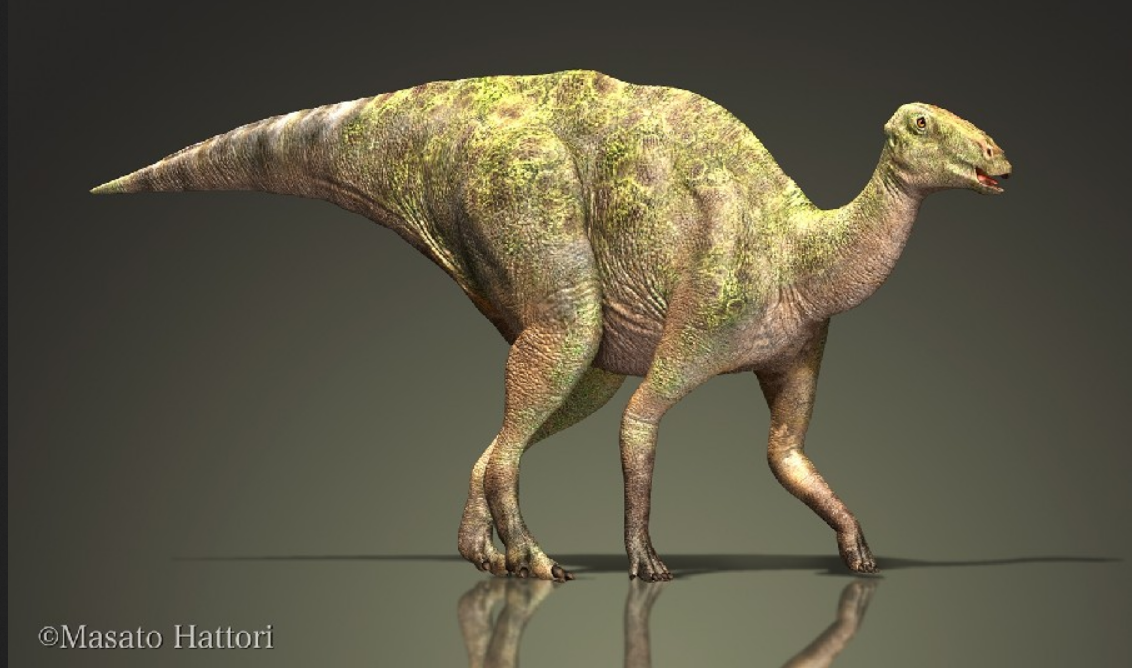 Paleontologists find rare dinosaur 'mummy'