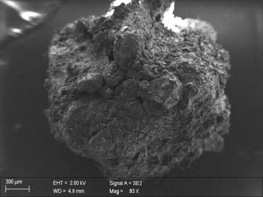 Так выглядит под микроскопом фрагмент спинного мозга. Быстрый нагрев превращал органические ткани в стекло, а лава оставила их нетронутыми их на века