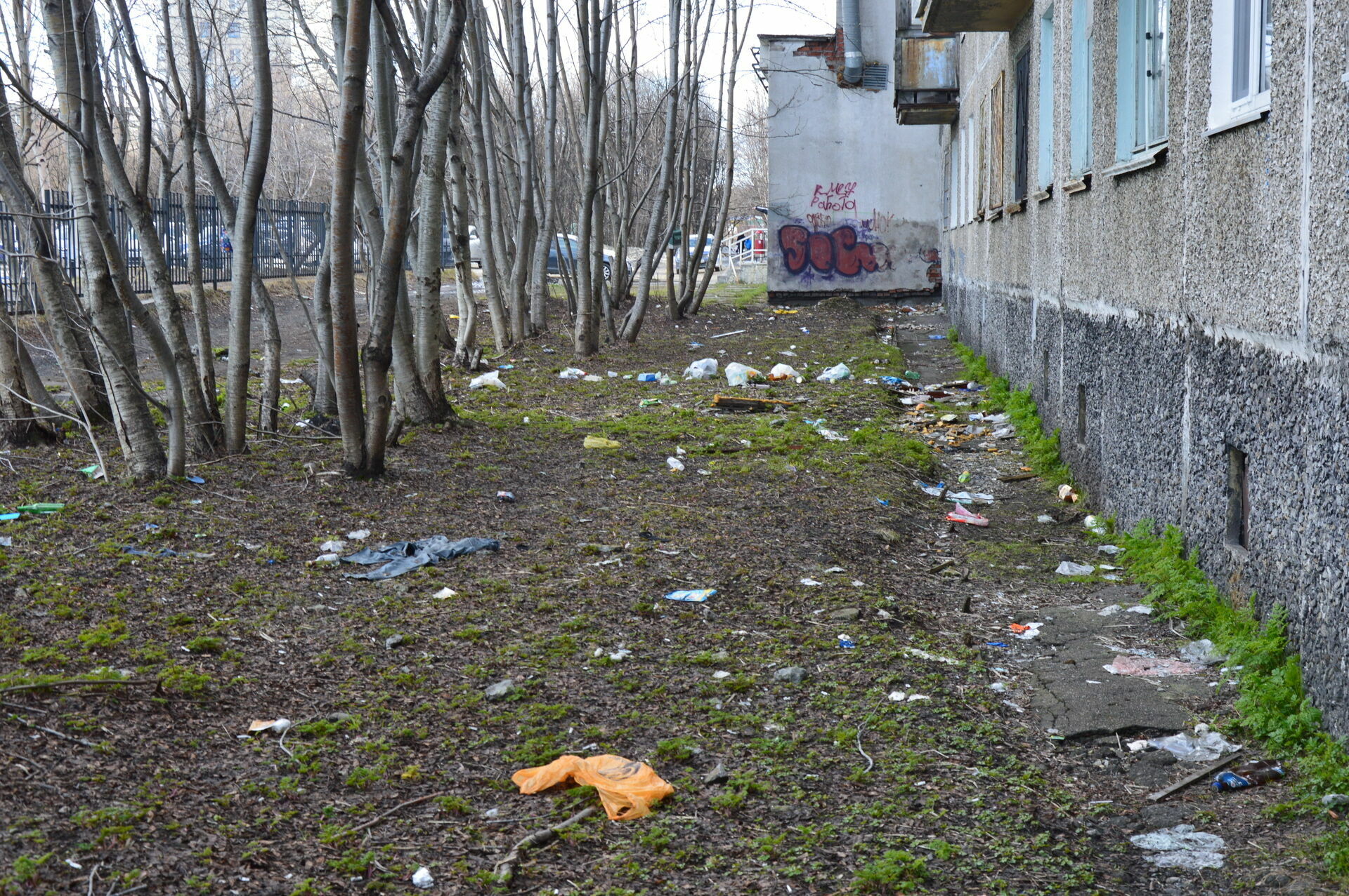 Murmansk: a city that has become a garbage dump (photo report)