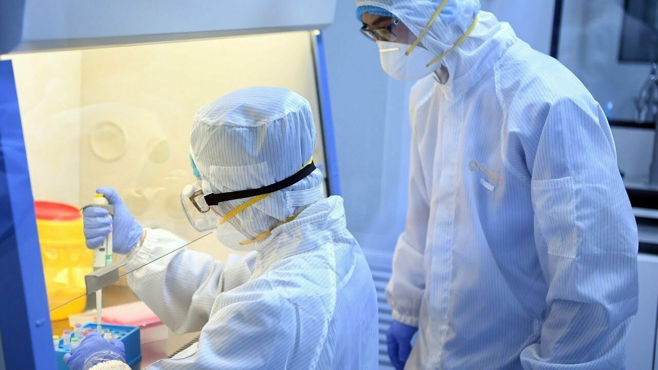 Expert: Russia has passed the peak of coronavirus incidence