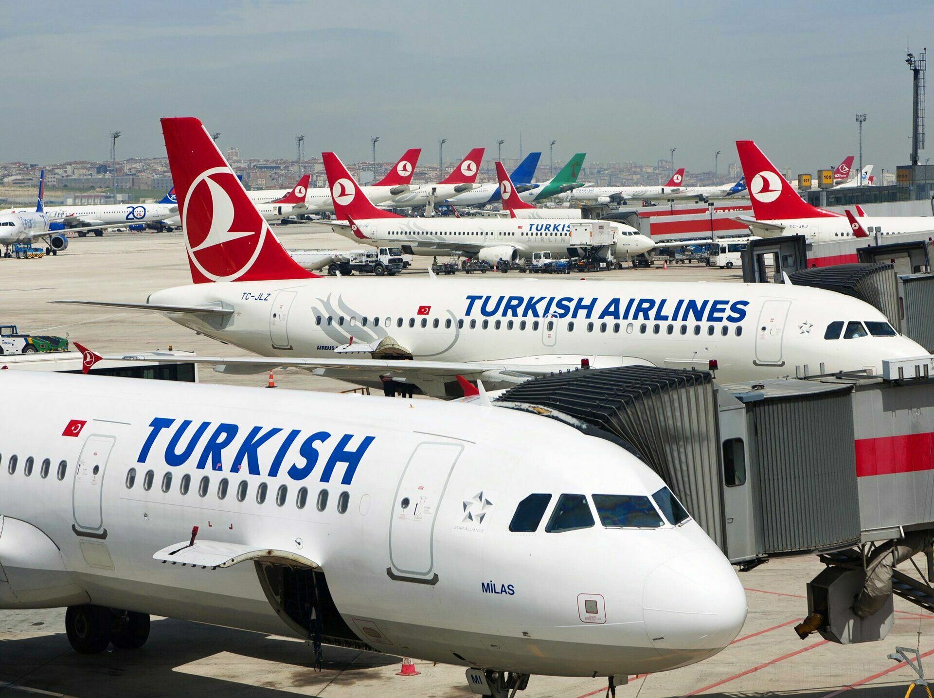Turkish airlines began to reject Russians of return flights to Moscow