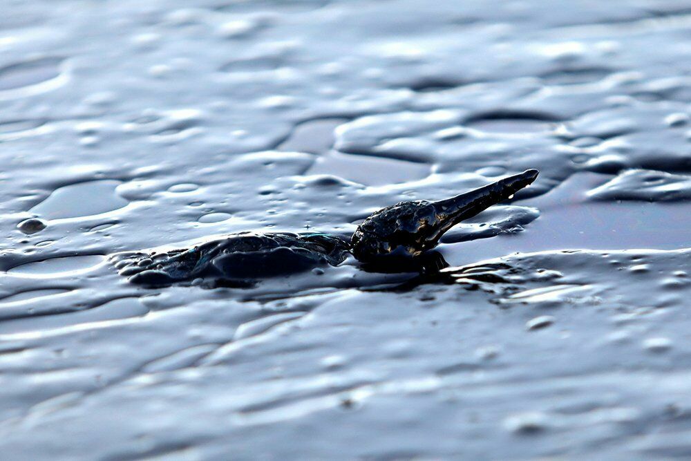 Thousands of cases of oil spills are hushed up in Russia