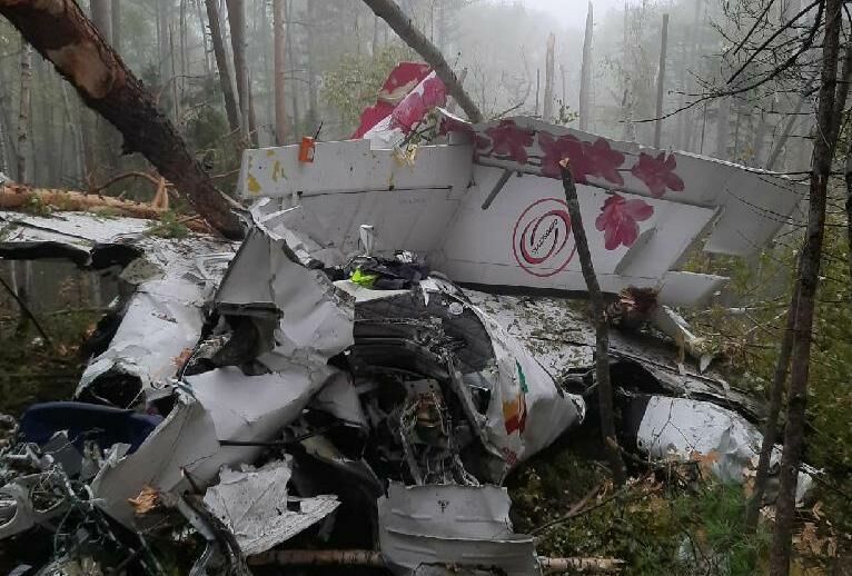L-410 crash survivor named the cause of the crash