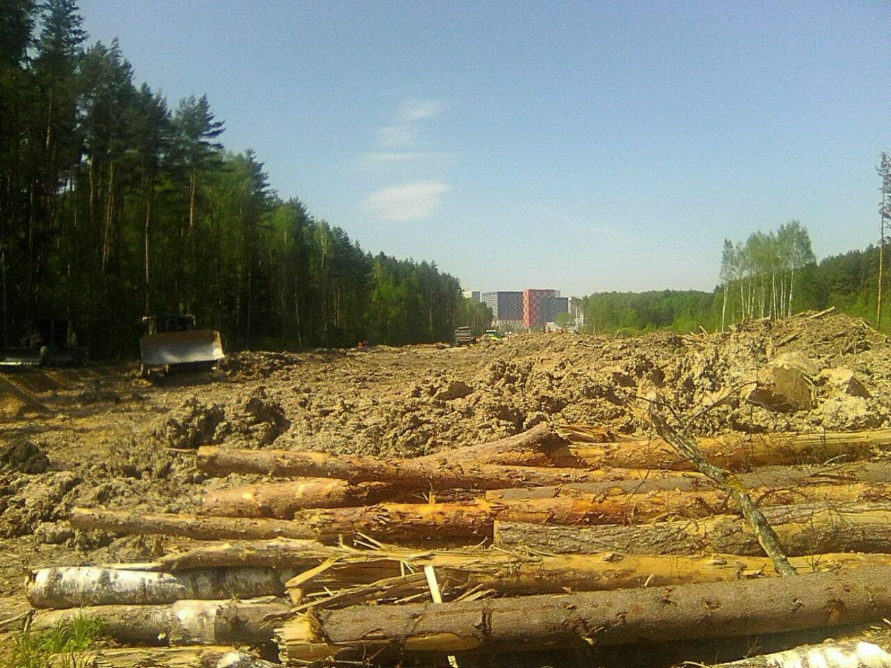 Let's do without oxygen: how New Moscow destroys the Ulyanovsk forest park