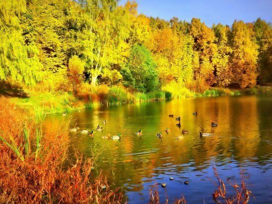 Indian summer in Moscow will start on September 8