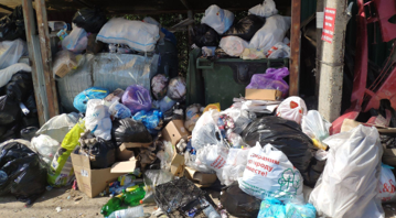 The Black Sea shouts "SOS!" Environmentalists demand a solution to the garbage crisis in Sochi