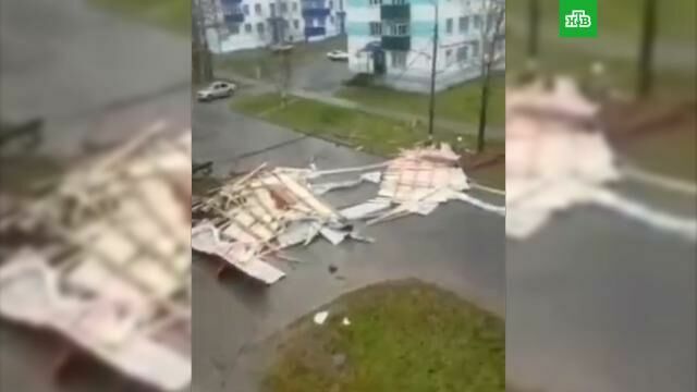 Families of people killed during a cyclone on Sakhalin will be paid half a million rubles
