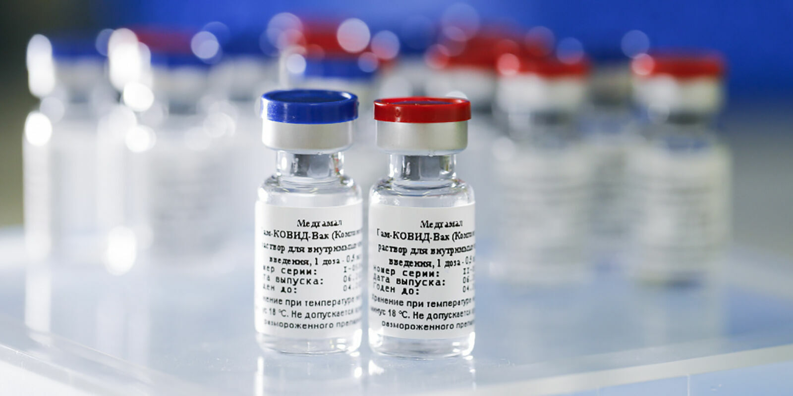 Turkey approved the production of the Russian vaccine against covid "Sputnik V"